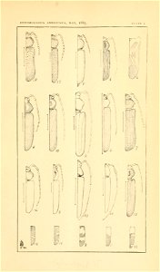 n48_w1150