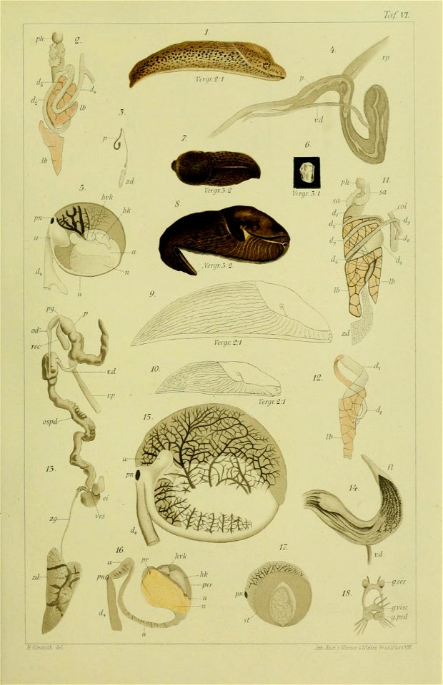 n358_w1150