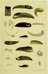n356_w1150