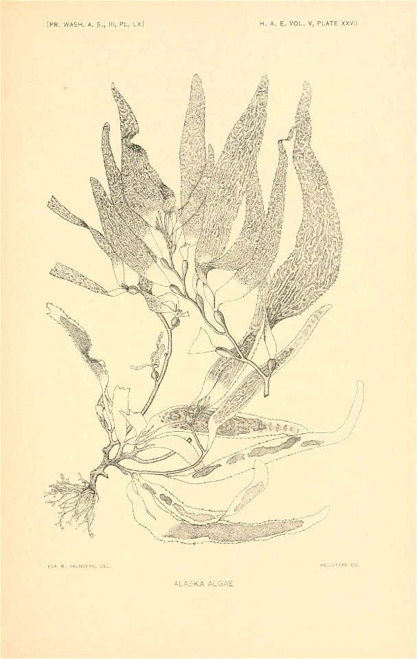 n312_w1150