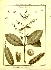 n99_w1150
