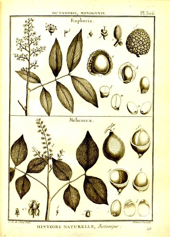 n58_w1150