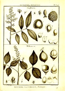 n58_w1150