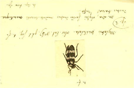 n126_w1150