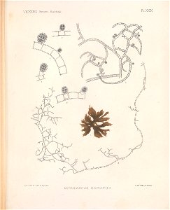 n222_w1150