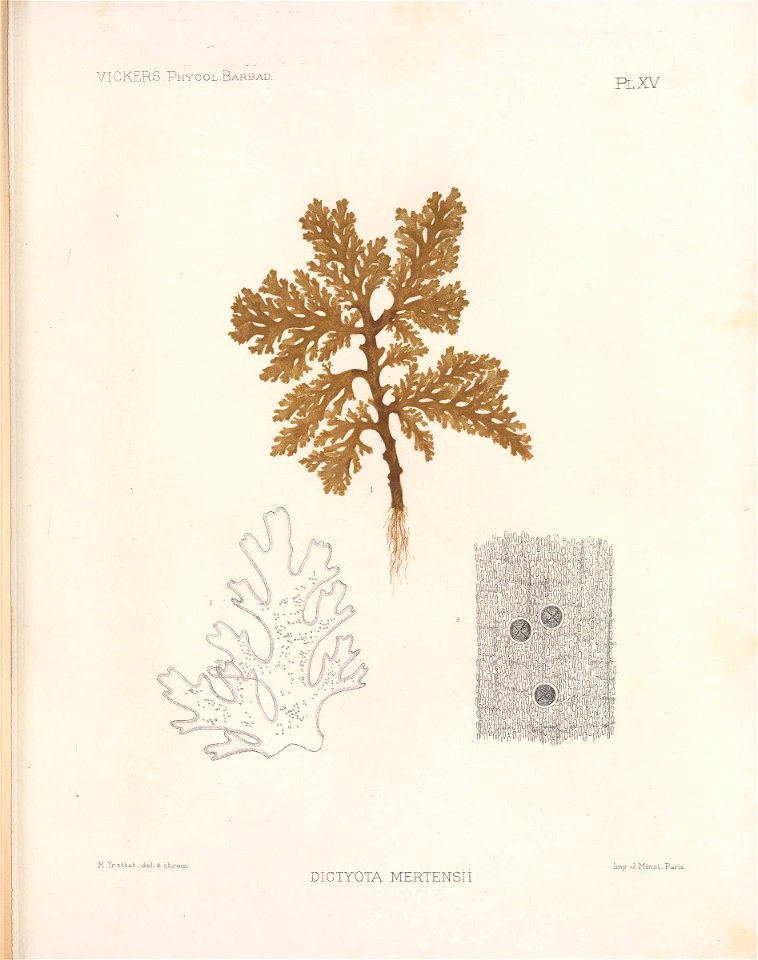 n192_w1150