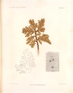 n192_w1150