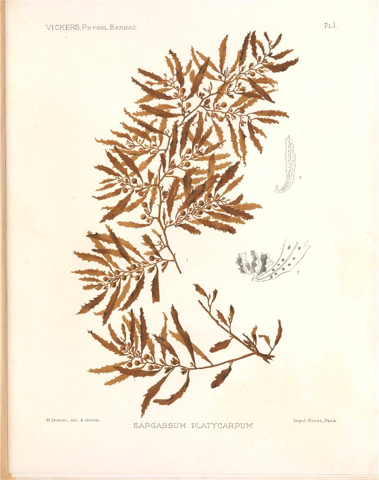 n162_w1150