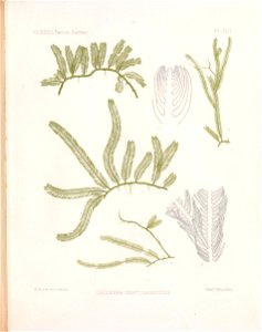 n120_w1150