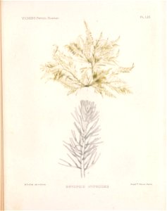 n148_w1150