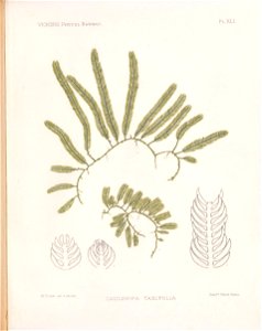 n118_w1150