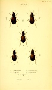n418_w1150