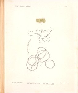 n56_w1150