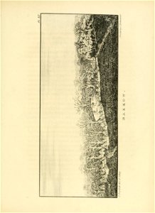 n260_w1150
