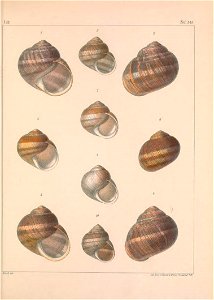 n402_w1150