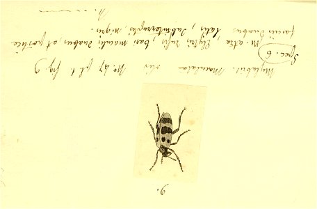 n120_w1150