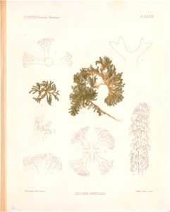 n114_w1150