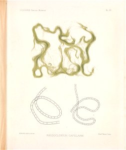 n52_w1150