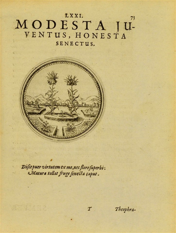 n162_w1150