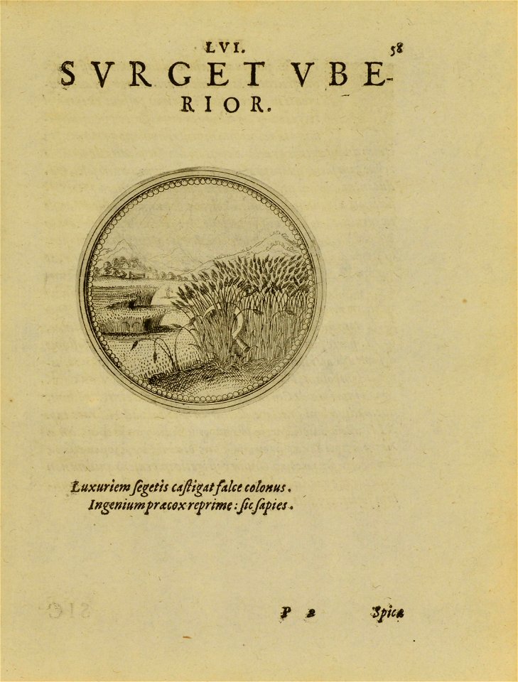 n132_w1150