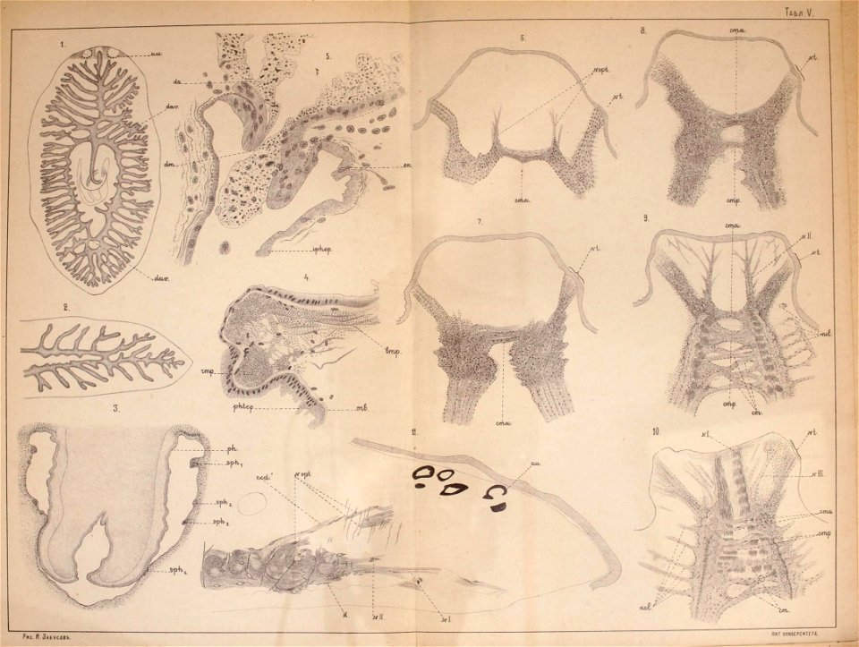 n462_w1150