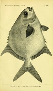 n864_w1150