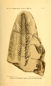 n712_w1150