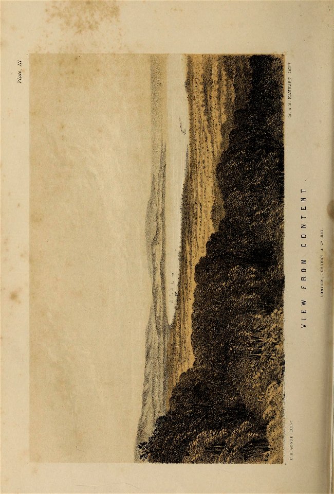 n127_w1150