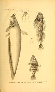 n28_w1150