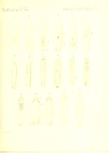 n766_w1150