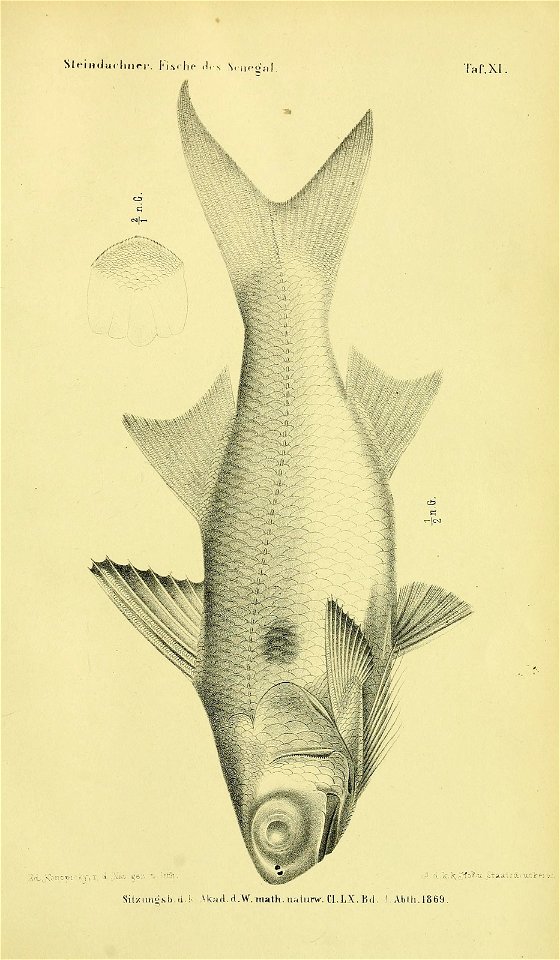 n862_w1150