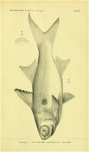 n862_w1150