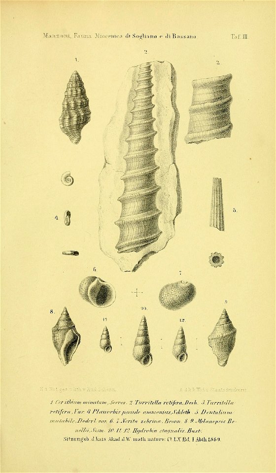 n616_w1150
