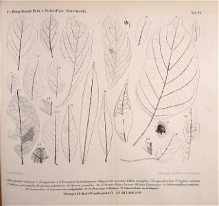 n138_w1150