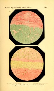 n864_w1150