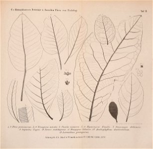 n1028_w1150