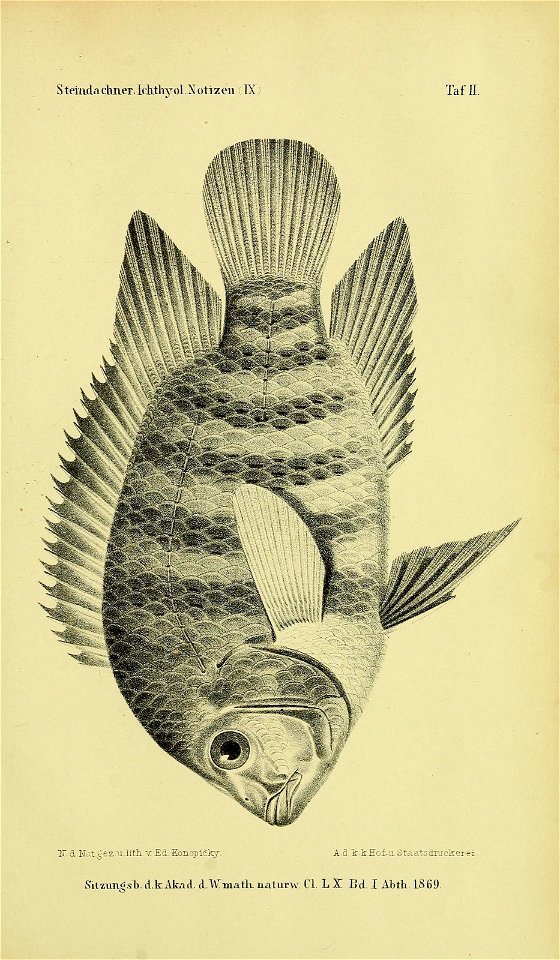 n390_w1150