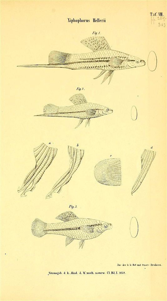 n698_w1150