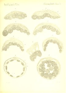 n760_w1150