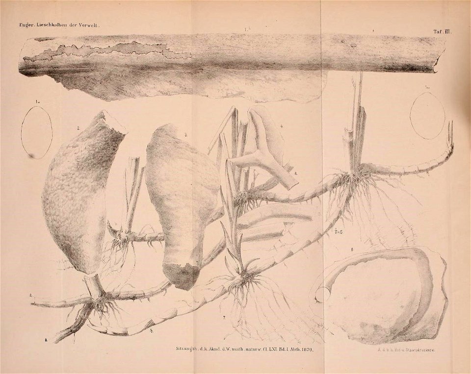 n158_w1150