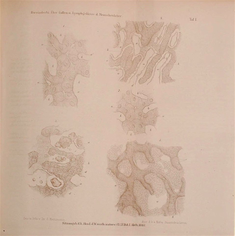 n834_w1150