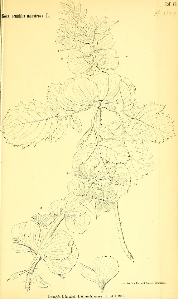 n696_w1150