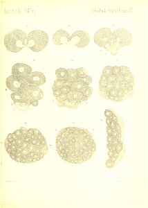 n758_w1150
