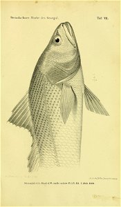 n854_w1150