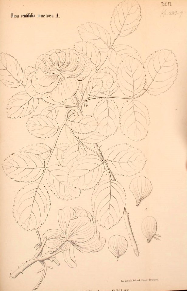 n694_w1150