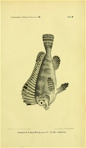 n204_w1150