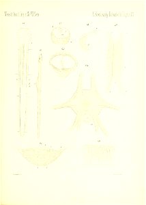 n754_w1150