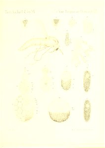 n764_w1150