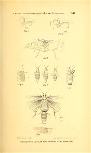n392_w1150