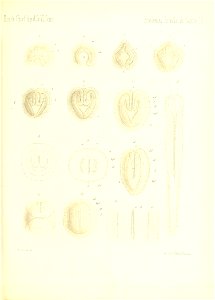 n752_w1150